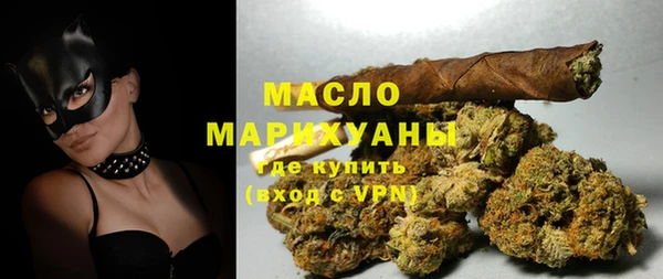 индика Богородицк