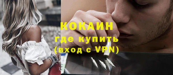 индика Богородицк