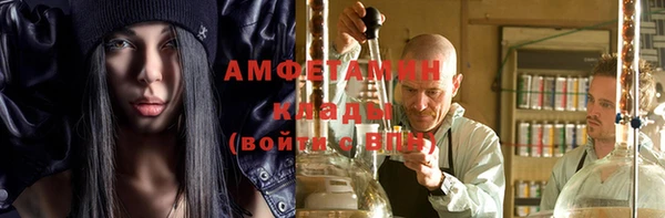 индика Богородицк