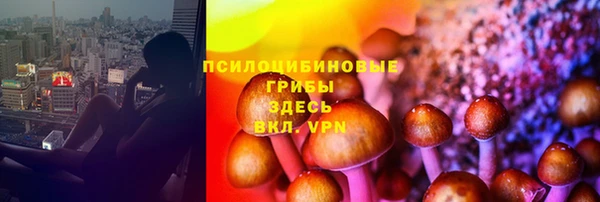 индика Богородицк