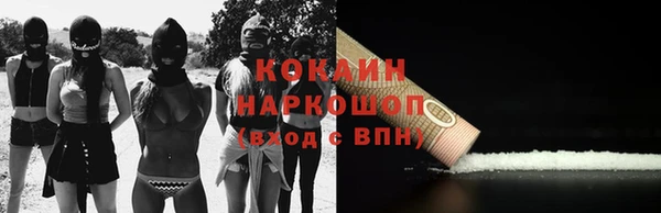 индика Богородицк