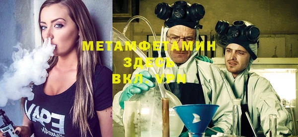 индика Богородицк