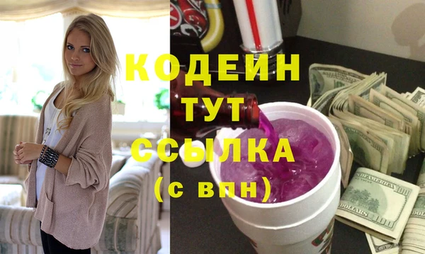 индика Богородицк