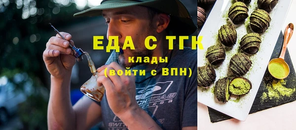 индика Богородицк