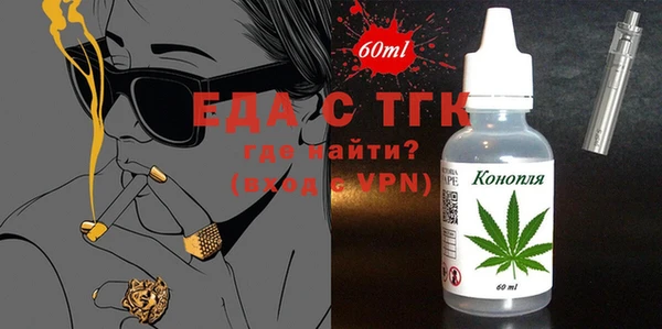 индика Богородицк