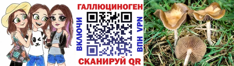Галлюциногенные грибы мицелий  как найти наркотики  Давлеканово 